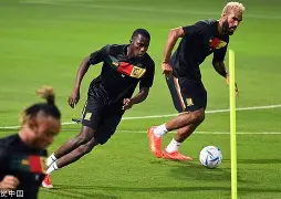 C7娱乐-关于女足教练解读战术，球队备战高级别比赛的信息