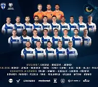 关于瑞士大胜爱尔兰，欧预赛中取得连胜的信息