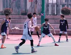 瑞典篮球联赛季后赛精彩纷呈,斯德哥尔摩队突围成功 瑞典篮球联赛季后赛精彩纷呈,斯德哥尔摩队突围成功