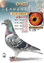 C7娱乐-柏林赫塔客场获胜，施图特高质量传中助攻皮特森的简单介绍